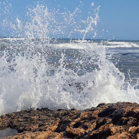 Hotel Central Torrevieja Dış mekan fotoğraf