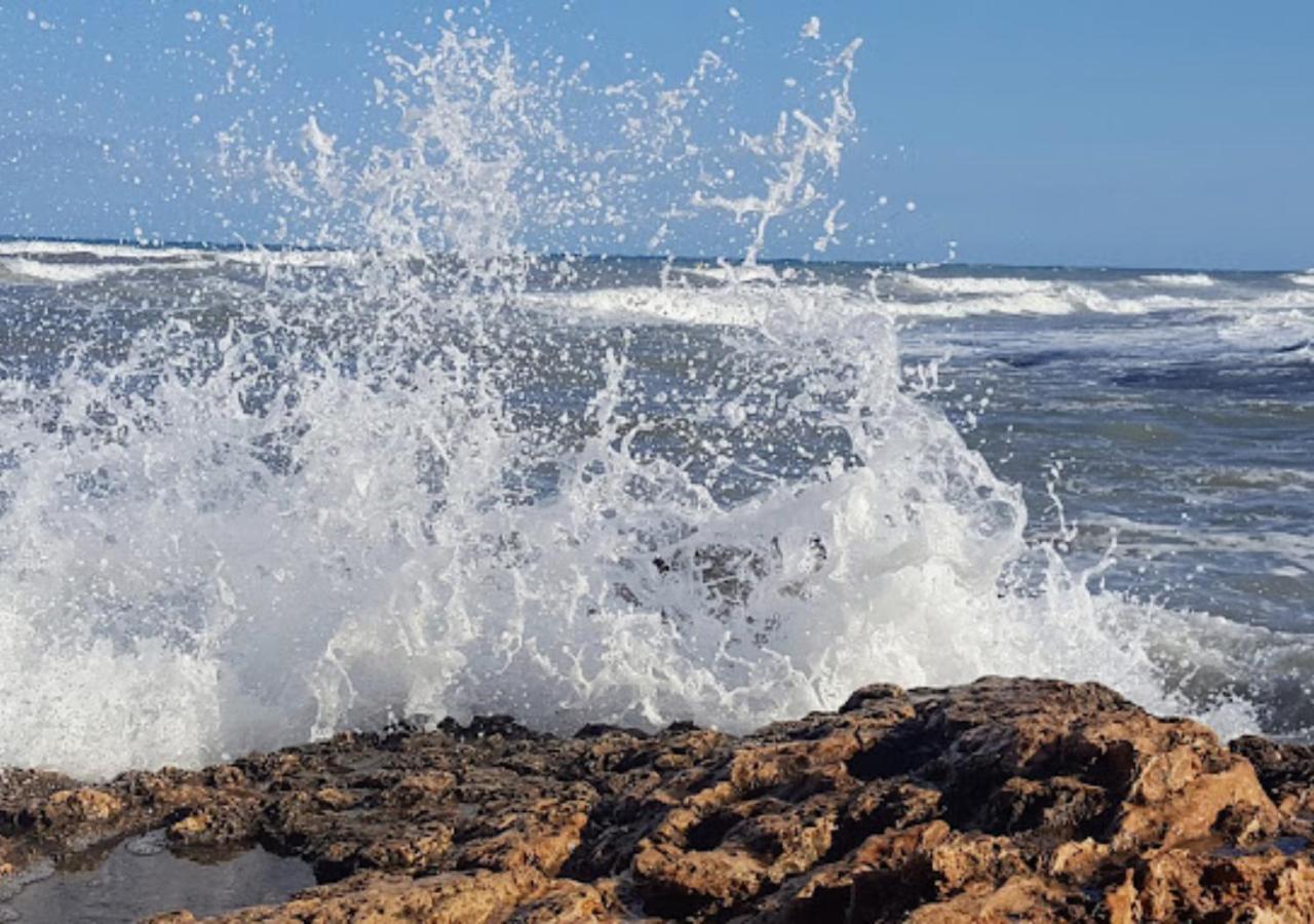 Hotel Central Torrevieja Dış mekan fotoğraf