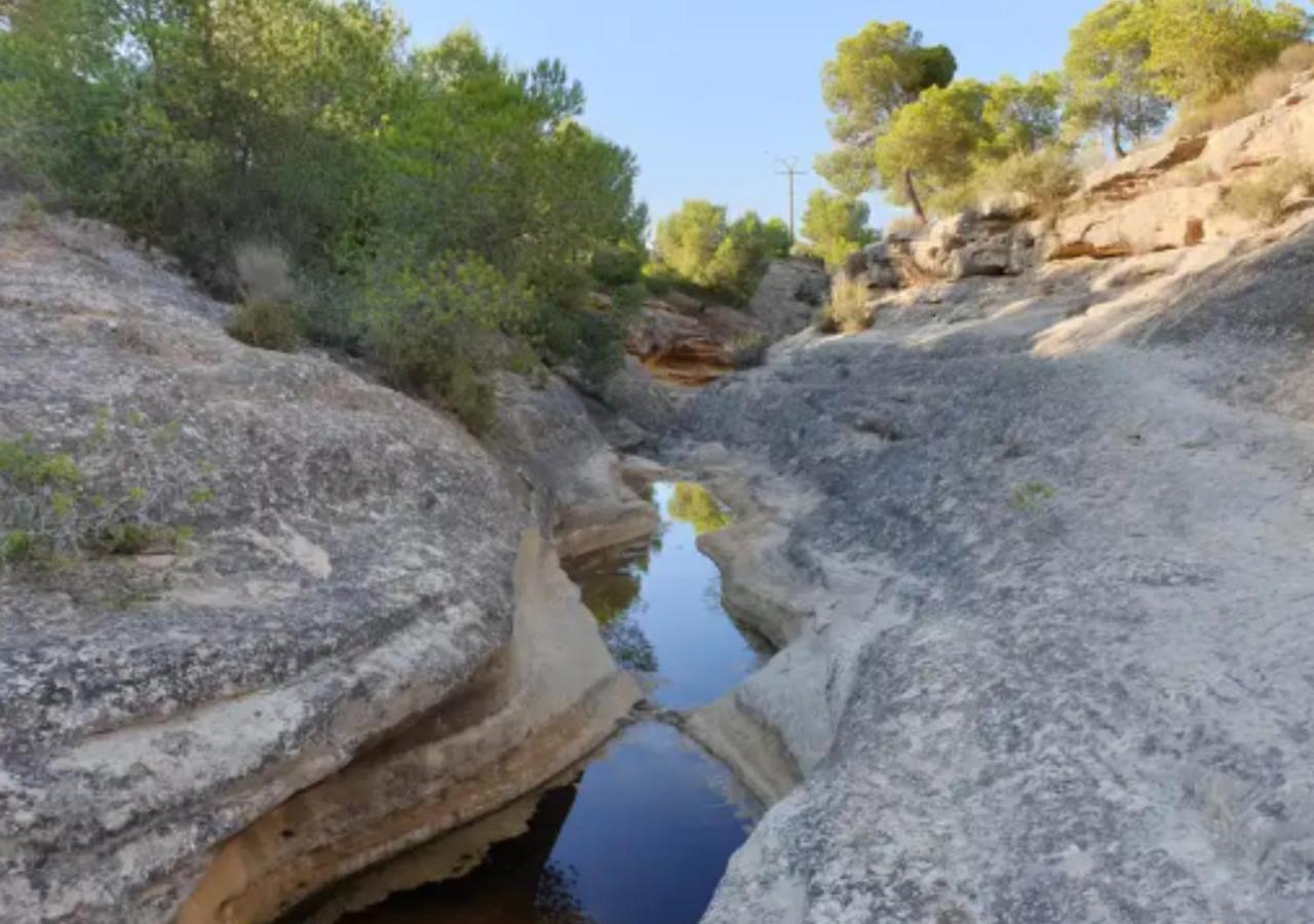 Hotel Central Torrevieja Dış mekan fotoğraf