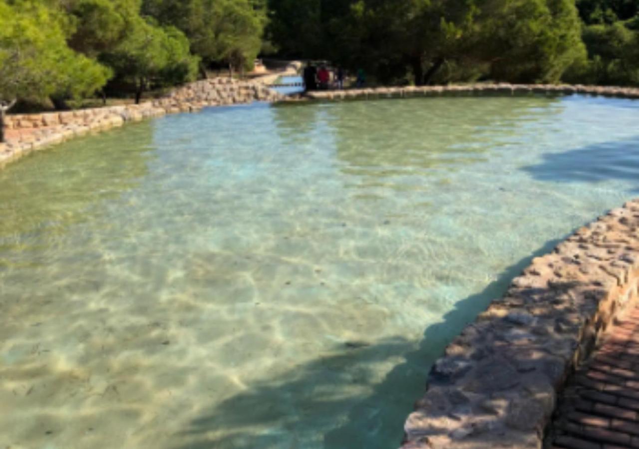 Hotel Central Torrevieja Dış mekan fotoğraf